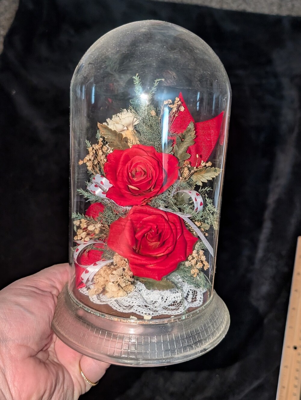 2/$25 VTG Glass Cloche Real Freeze Dried Roses